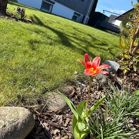 Haus Am Apartmán